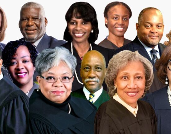 Justice Nathaniel Howse, Justice Bertina E. Lampkin, Justice Cynthia Cobbs, Justice Sharon Oden Johnson, Judge Linda Sackey, Judge Debra A. Seaton, Judge Marian E. Perkins, Judge Yolanda H. Sayre, Judge James A. Wright, Judge Lisa M. Taylor, Judge Timothy W. Wright III, Judge Leonard Murray