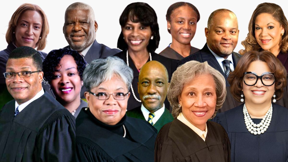 Justice Nathaniel Howse, Justice Bertina E. Lampkin, Justice Cynthia Cobbs, Justice Sharon Oden Johnson, Judge Linda Sackey, Judge Debra A. Seaton, Judge Marian E. Perkins, Judge Yolanda H. Sayre, Judge James A. Wright, Judge Lisa M. Taylor, Judge Timothy W. Wright III, Judge Leonard Murray